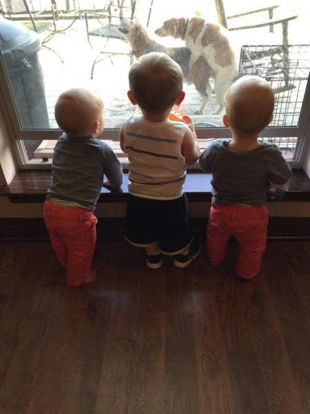 three toddlers learning about the circle of life from two dogs