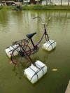 check out my new ride, water bicycle