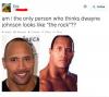 am i the only person who thinks dwayne johnson looks like the rock