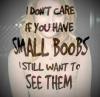 i don't care if you have small boobs, i still want to see them