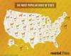 the most popular dog by state, lab