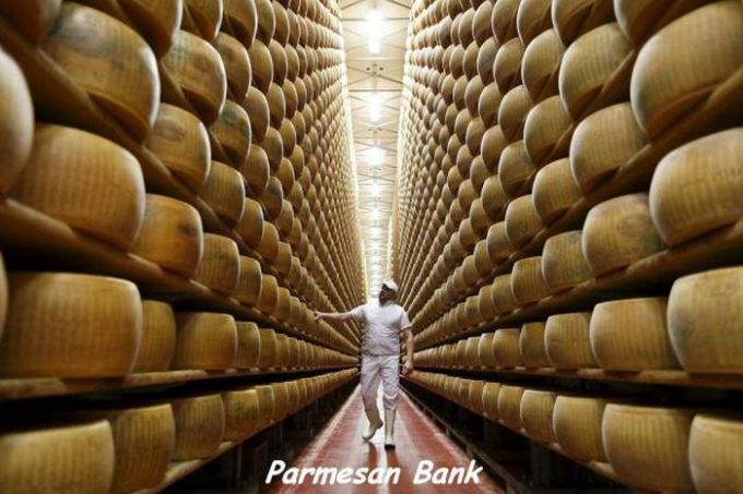 behold the parmesan bank