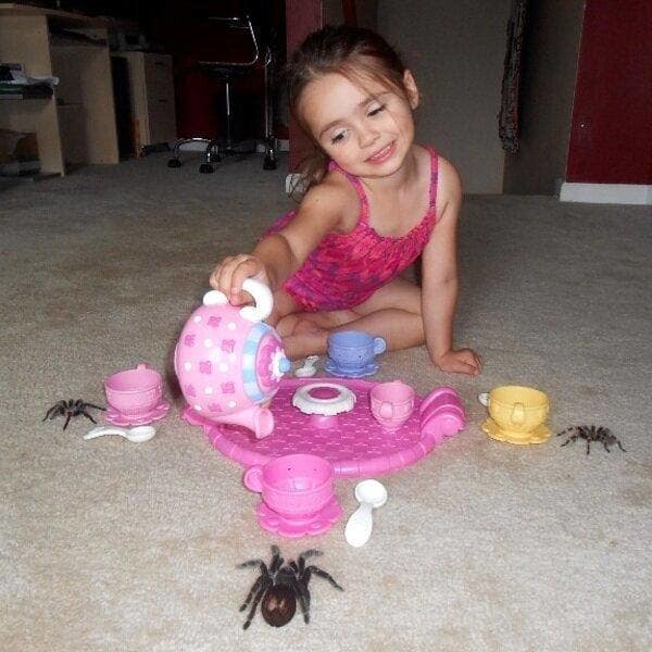 most hardcore tea party ever, little girl has tea party with three tarantulas