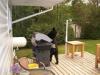black bear helping himself to backyard bbq