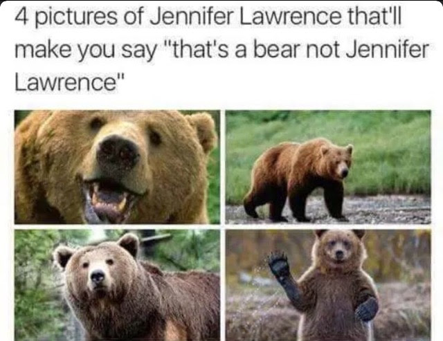 4 pictures of jennifer lawrence that'll make you say, that's a bear not jennifer lawrence