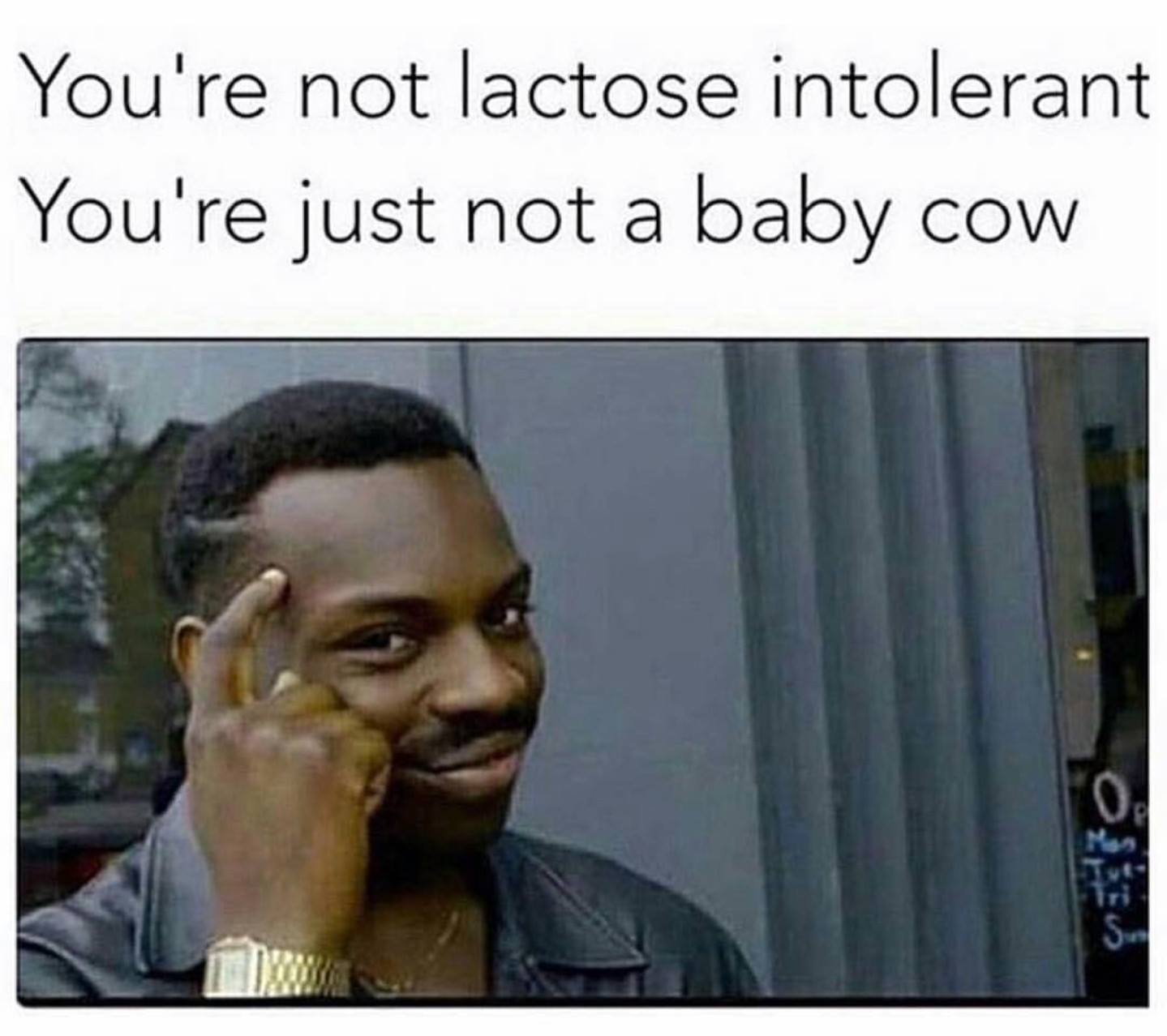 you're not lactose intolerant, you're just not a baby cow