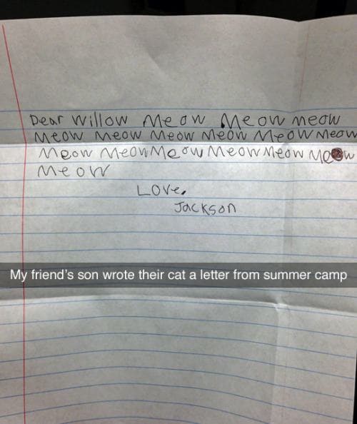 my friend's son wrote their cat a letter form summer camp