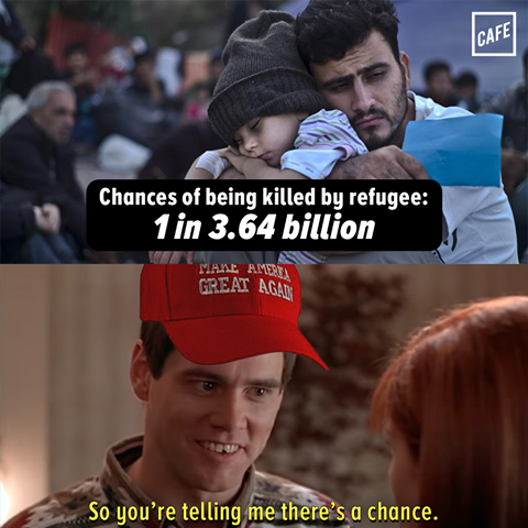 chances of being killed by a refugee, 1 in 3.64 billion, so you're telling me there's a chance