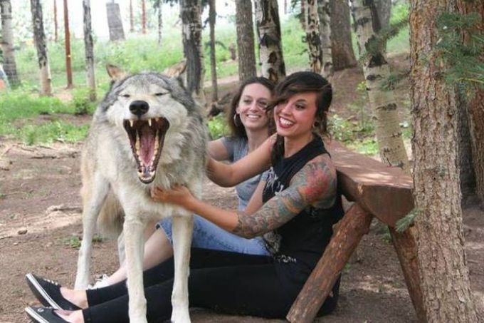 my what big teeth you have, dog yawns and girls are happy