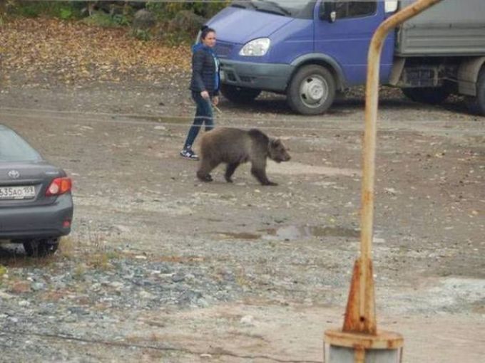 just a woman out walking her bear