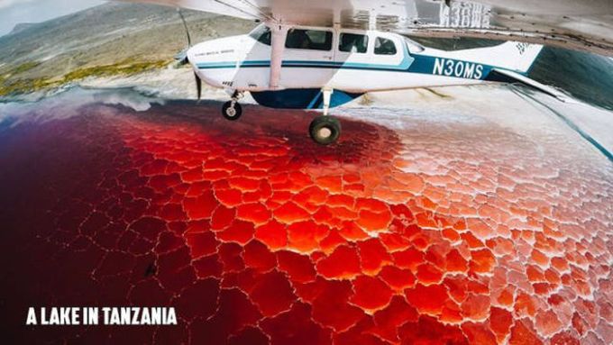 a lake in tanzania, red cracked water