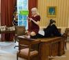 brb i have to pee, kelly ann conway on trump in oval office