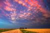 pink cotton puff clouds over a field