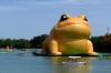 giant inflatable toad on the water, wtf