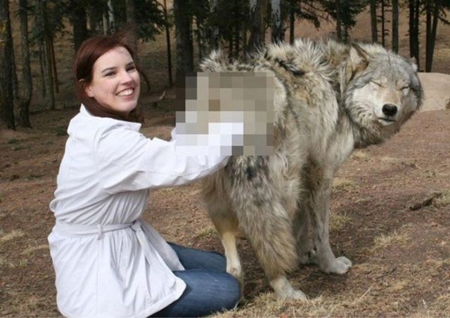 wolf nurse making wolf happy, unnecessary censorship