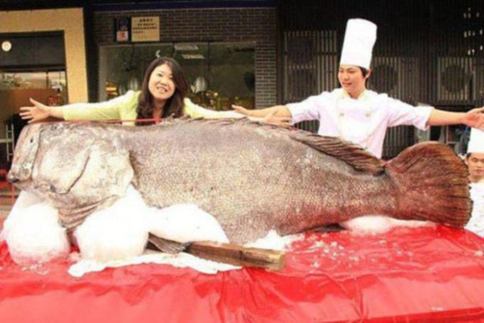 giant fish on salt with asian chef and lady
