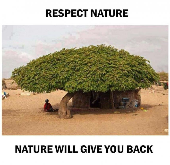 respect natyure, nature will give you back
