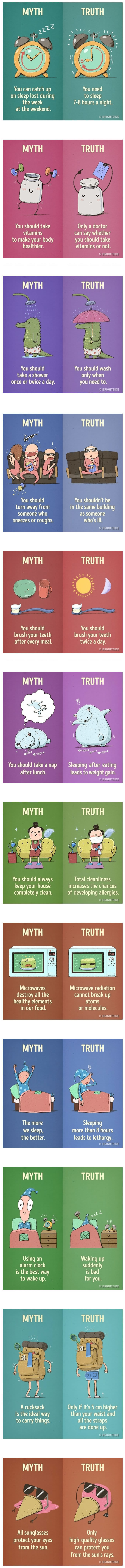 various myths and truths in life, infographic