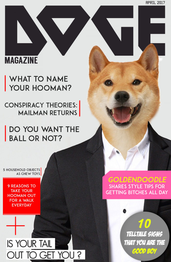 doge magazine, get yours now