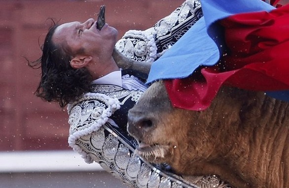 bullfighter gets horn through his throat and out of his mouth