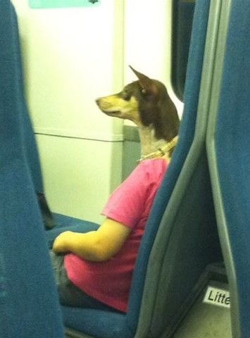 just a weird dog human hybrid riding the subway