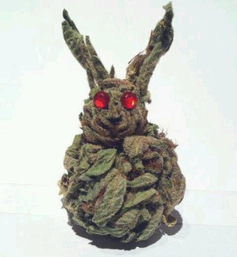 420 bunny bud