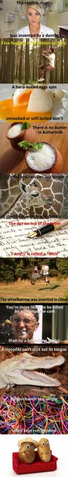 some things that you probably didn't know, dyk