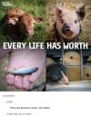 every life has worth, they are precious lives not meals, holds fish out of water