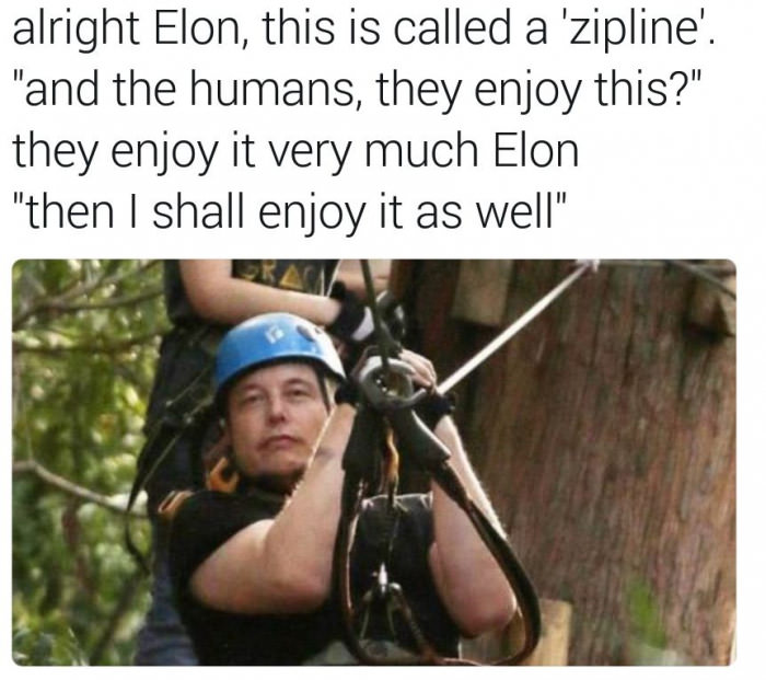 alright elon this is called a zipline, and the humans, they enjoy this?, they enjoy it very much elon, then i shall enjoy it as well