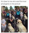 it's clear to me who was the most photogenic in this picture, smiling dog