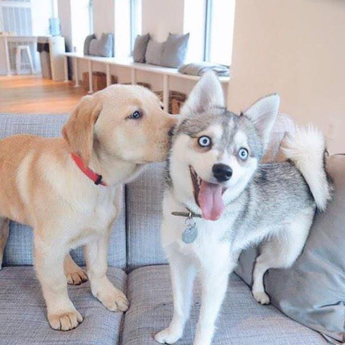 when you get a kiss from your crush and can't contain the happy