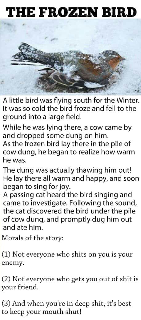 the lesson of the frozen bird, not everyone who shits on you is your enemy, not everyone who gets you out of shit is your friend, when you're in deep shit, it's best to keep your mouth shut