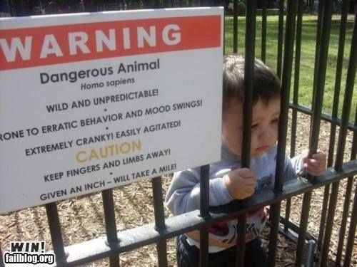 warning dangerous animal, wild and unpredictable, prone to erratic behaviour and mood swings, extremely cranky, easily agitated, human child in cage with sign