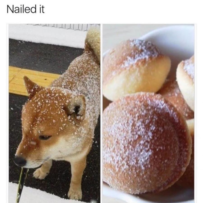 nailed it, lightly sugared doge