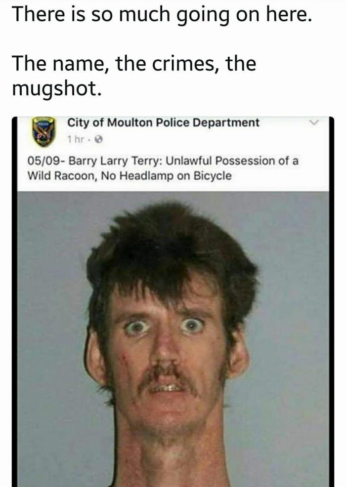 there is so much going on here, unlawful possession of a wild racoon, no headlamp on bicycle