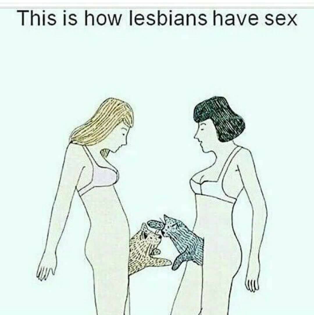 This Is How Lesbians Have Sex - JustPost: Virtually entertaining