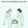 this is how lesbians have sex, cats, pussies