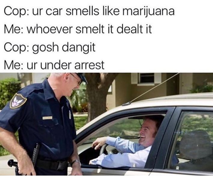 ur car smells like marijuana, whoever smelt it dealt it, gosh danger, ur under arrest