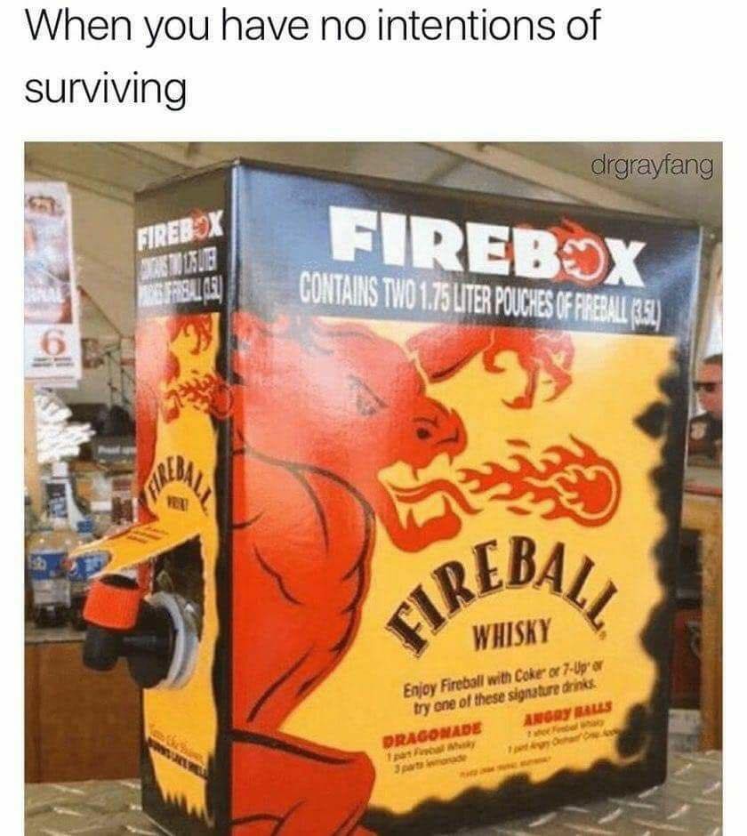 when you have no intentions of surviving, two punches of 1.75l fireball whiskey