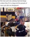 the new york city subway banned dogs unless they fit in a bag and the people of new york did not disappoint