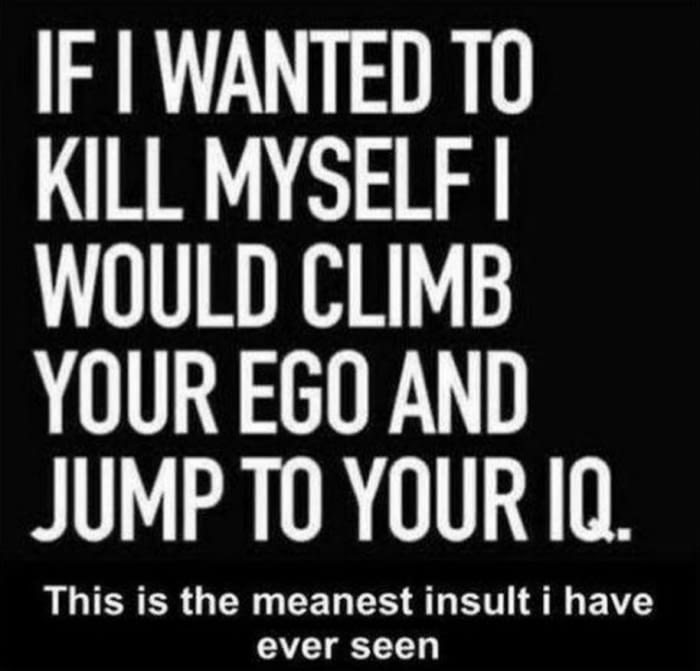 if i wanted to kill myself i would climb your ego and jump to your iq