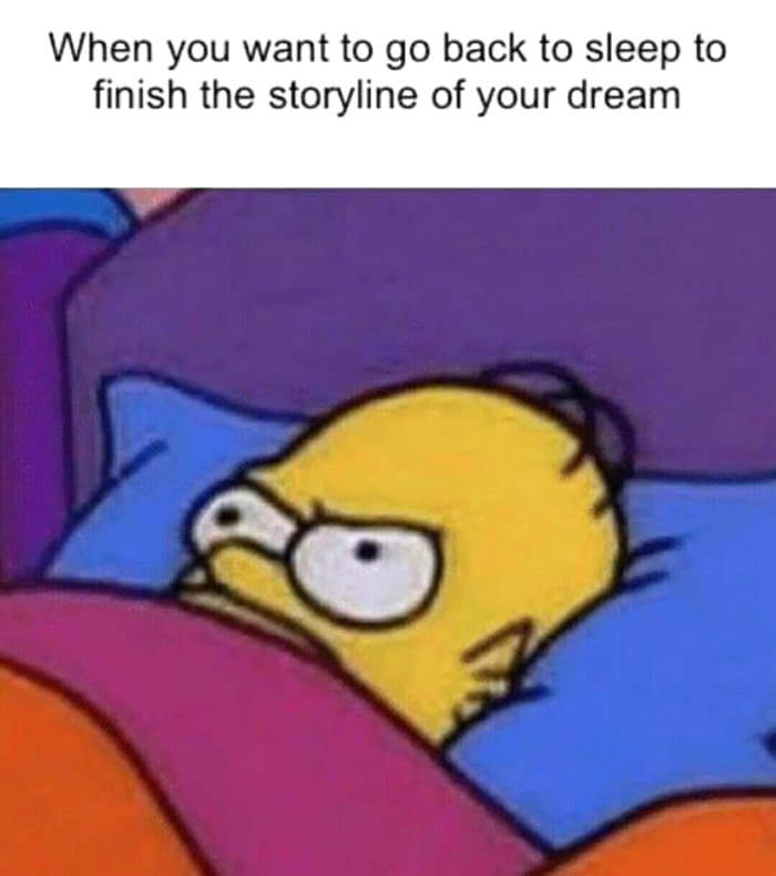 when you want to go back to sleep to finish the storyline of your dream