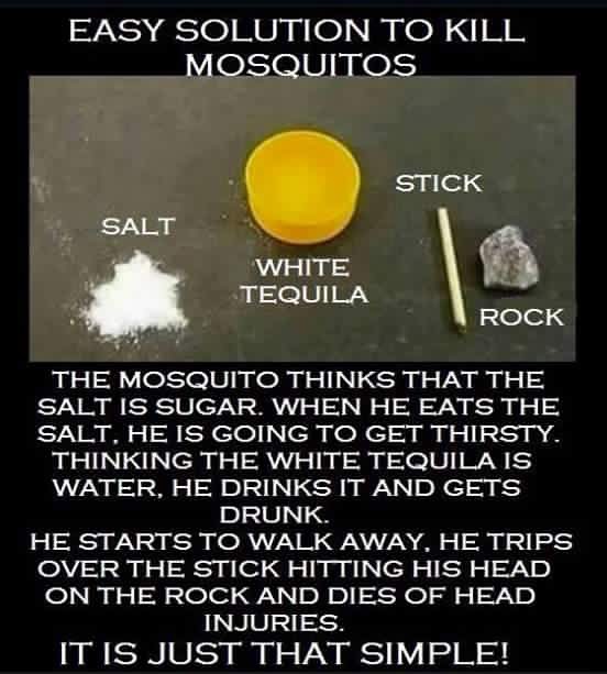 easy solutions to kill mosquitos