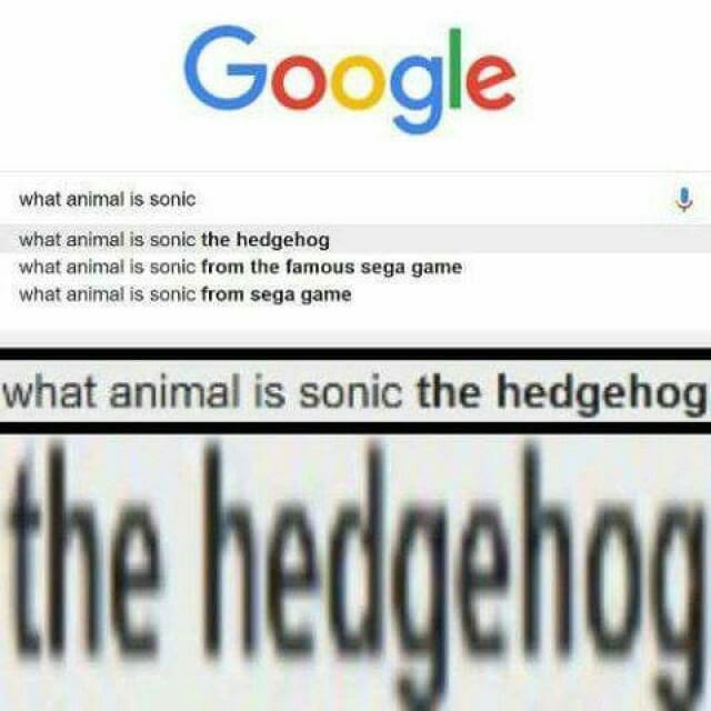 what animal is sonic the hedgehog