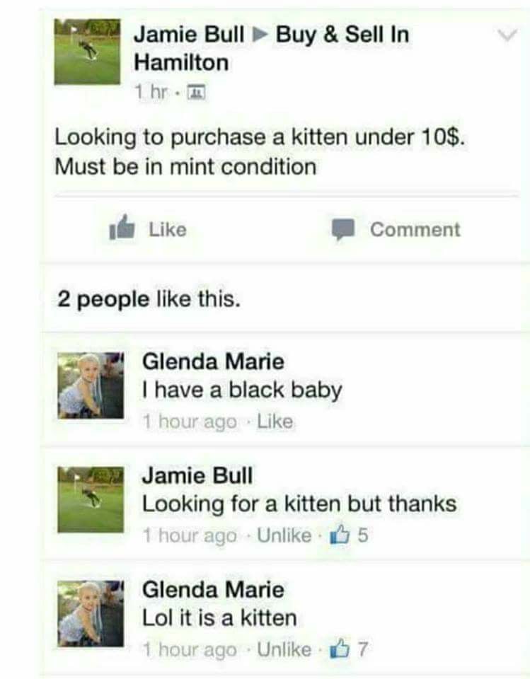 looking to purchase a kitten under 10$, must be in mint condition, i have a black baby, i'm looking for a kitten but thanks, lol it is a kitten