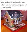 why make a gingerbread house when you can make a gingerbread crack house