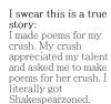 i made poems for my crush, my crush appreciated my talent and asked me to make poems for her crush, i got shakespearzoned