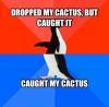 dropped my cactus, but caught it, caught my cactus, socially awkward penguin, meme