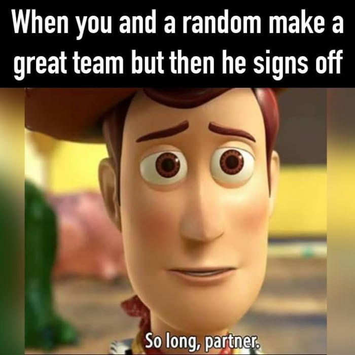 when you and a random make a great team but then he signs off, so long partner