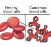 healthy vs unhealthy blood cells, fact, fidget, spinners, red